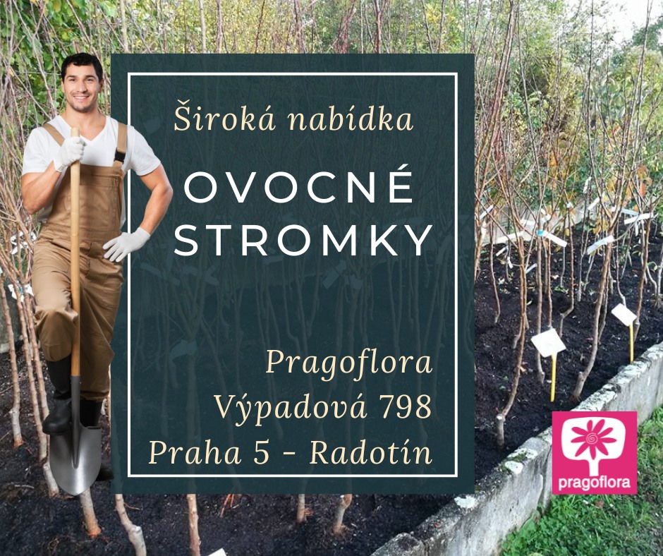 jak_na_site